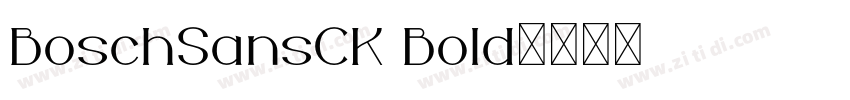 BoschSansCK Bold字体转换